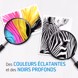 HP 338 (noir) / 343 (trois couleurs) pack de 2 cartouches d'encre authentiques