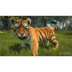 Microsoft Kinectimals, Xbox360 Néerlandais, Anglais