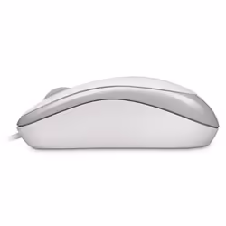 Microsoft P58-00058 souris Ambidextre USB Type-A Optique 800 DPI