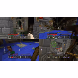 Microsoft Minecraft, Xbox 360 Standard