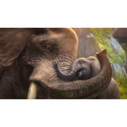 Microsoft Zoo Tycoon Standard Allemand, Anglais, Espagnol, Français, Italien Xbox One - Vue supplémentaire 6