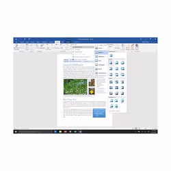 Microsoft Office Home & Student 2016, FR Office suite 1 licence(s) Français