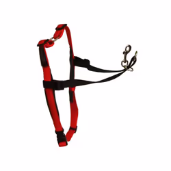 Company of Animals Harnais pour Chien Halti Noir/Rouge L (80-120 cm)