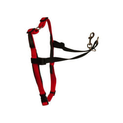 Company of Animals Harnais pour Chien Halti Noir/Rouge L (80-120 cm)