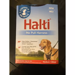 Company of Animals Harnais pour Chien Halti Taille M (34-56 cm)