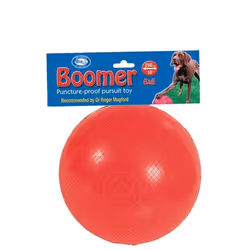 Company of Animals Jouet pour chien Boomer Bleu (200mm)