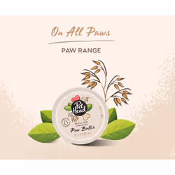 Pet Head On All Paws Paw Butter Baume