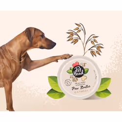 Pet Head On All Paws Paw Butter Baume - Vue supplémentaire 4