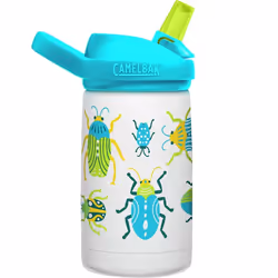 CamelBak 407-143-1300-111 gourde Utilisation quotidienne 350 ml Acier inoxydable Multicolore
