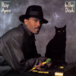 Alive AG In The Dark (Bonus Track Edition), Funk, CD, Ayers, Roy, Support physique, Essential Sales and Marketing Ltd. / Funk ...