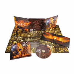 ImportCDs Burn It Down, Pop rock, CD, Support physique, Adulte, 1 disques, 05/04/2018