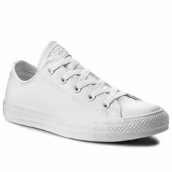 Baskets Converse Chuck Taylor All Star