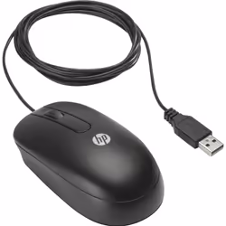 HP USB Optical Scroll Mouse souris Ambidextre USB Type-A Optique 800 DPI