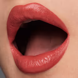 Rouge à lèvres Pure Color #french kiss