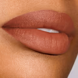 Rouge à lèvres Pure Color Explicit Matte #301-Smokescreen