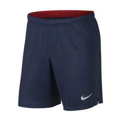 Nike 2018/19 Paris Saint-Germain Stadium Home