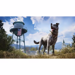 Ubisoft Far Cry 5: Standard Edition, PS4 Anglais PlayStation 4