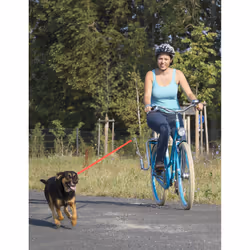 M-Wave 640104 pièce de rechange et accessoire de bicyclette Montage de la fixation de la laisse pour chien
