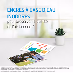 HP 301XL pack de 2 cartouches d'encre grande capacité noire authentiques - Vue supplémentaire 4