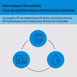 HP 301XL pack de 2 cartouches d'encre grande capacité trois couleurs authentiques - Vue supplémentaire 6