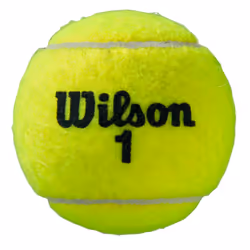 Tube de 4 balles de tennis Wilson Roland Garros All CT (x2)