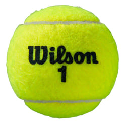 Tube de 4 balles de tennis Wilson Roland Garros All CT (x2)