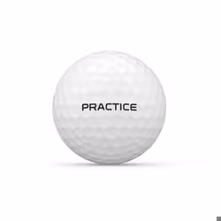 Balles de golf Wilson Staff Premium Practice (x24)