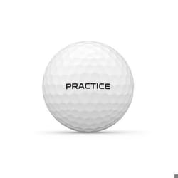 Balles de golf Wilson Staff Premium Practice (x24)