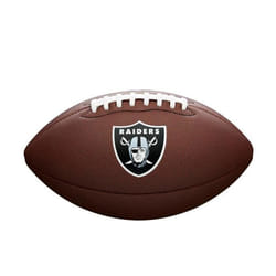 Ballon NFL Team Logo Composite FB