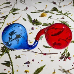 ImportCDs Lamp Lit Prose CD Pop rock