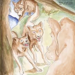 ImportCDs Wolf of the Cosmos, Américaine, CD, Support physique, Adulte, 1 disques, 20/04/2018