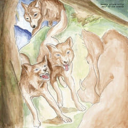 ImportCDs Wolf of the Cosmos CD Américaine