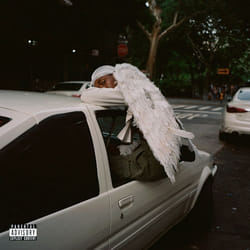 ImportCDs Negro Swan Vinyl R&B