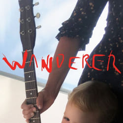 ImportCDs Wanderer Vinyl Pop rock