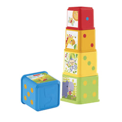 Fisher-Price Stack & Explore Blocks