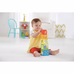 Fisher-Price Stack & Explore Blocks