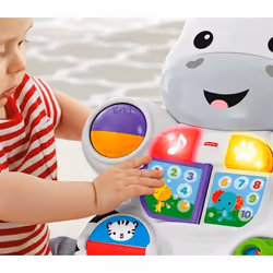 Fisher-Price DLD87 trotteuse pour bébé Multicolore