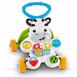 Mattel DLD91, 6 mois, 4 roue(s), Multicolore