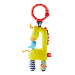 Fisher-Price DYF92 hochet