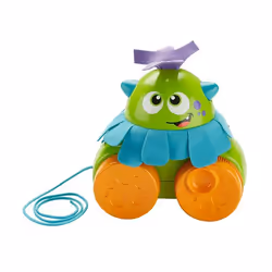 Fisher-Price FHG01