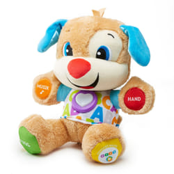 Fisher-Price Rires et Éveil FPM50 jouet d'apprentissage