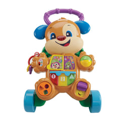 Fisher-Price FRC84 jouet d'apprentissage