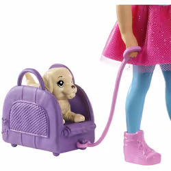 Barbie Dreamhouse Adventures Chelsea Voyage