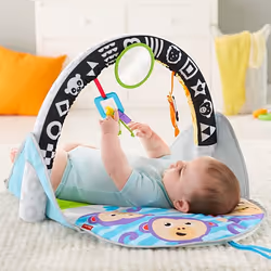 Fisher-Price Tapis Des Animaux 2-En-1