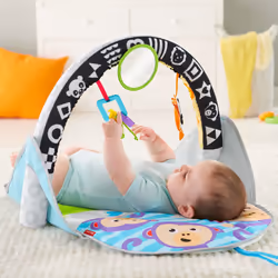 Fisher-Price Tapis Des Animaux 2-En-1