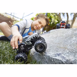 Hot Wheels Monster Trucks – – ASSORTIMENT 1/24