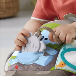 Fisher-Price Mon Livre Peluche D’Activités