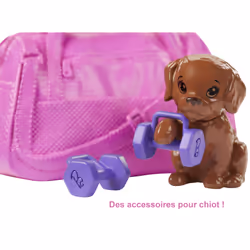 Barbie Coffret Fitness