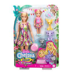 and Chelsea The Lost Birthday Coffret Barbie Et Chelsea Anniversaire