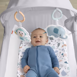 Fisher-Price Berceau Apaisant Compact